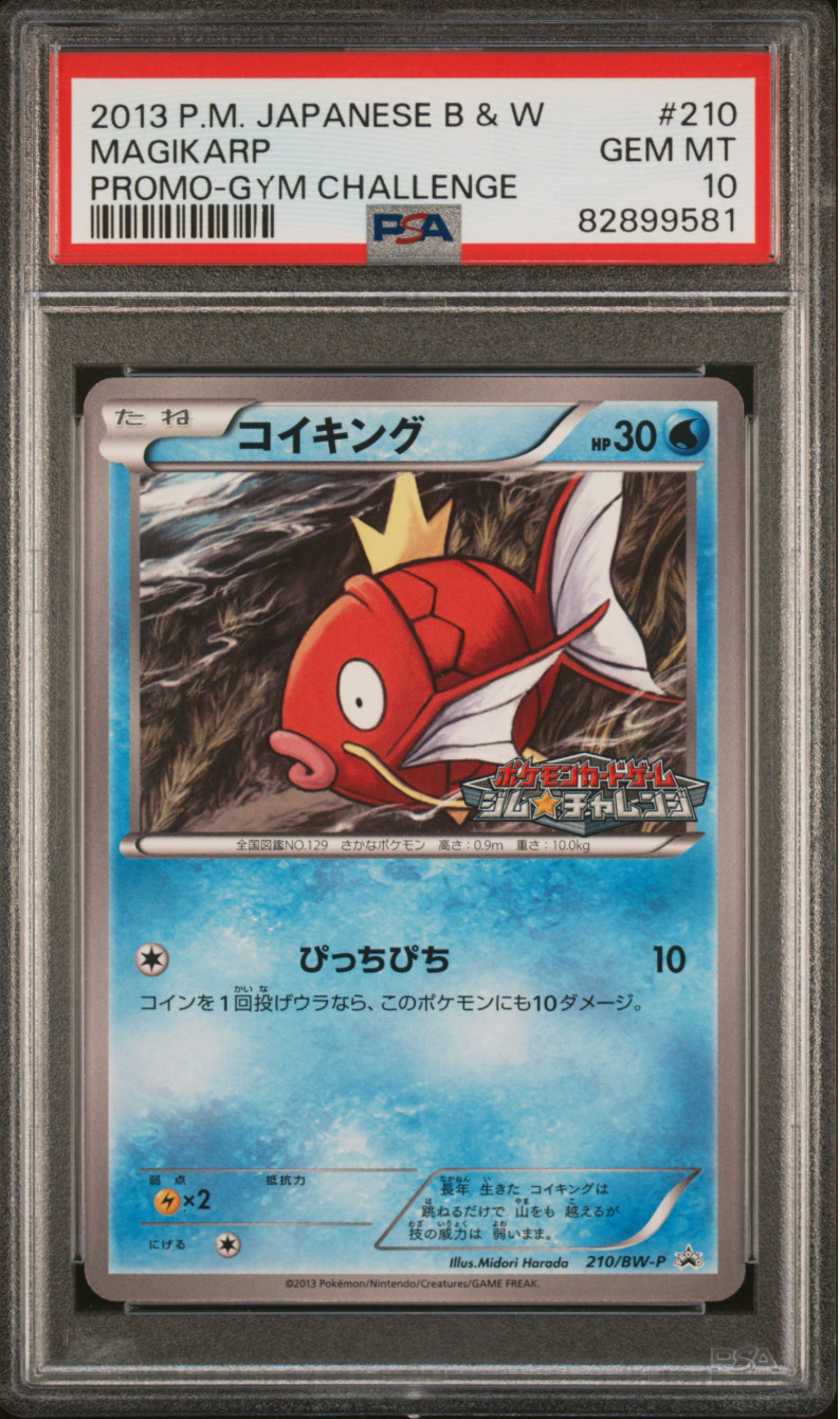 PSA 10 Magikarp 210/BW-P Promo Gym Challenge Japanese Pokemon Card 2013 - 581