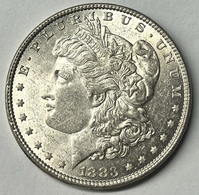 1883 $1 Morgan Silver Dollar *HIGH GRADE* | eBay