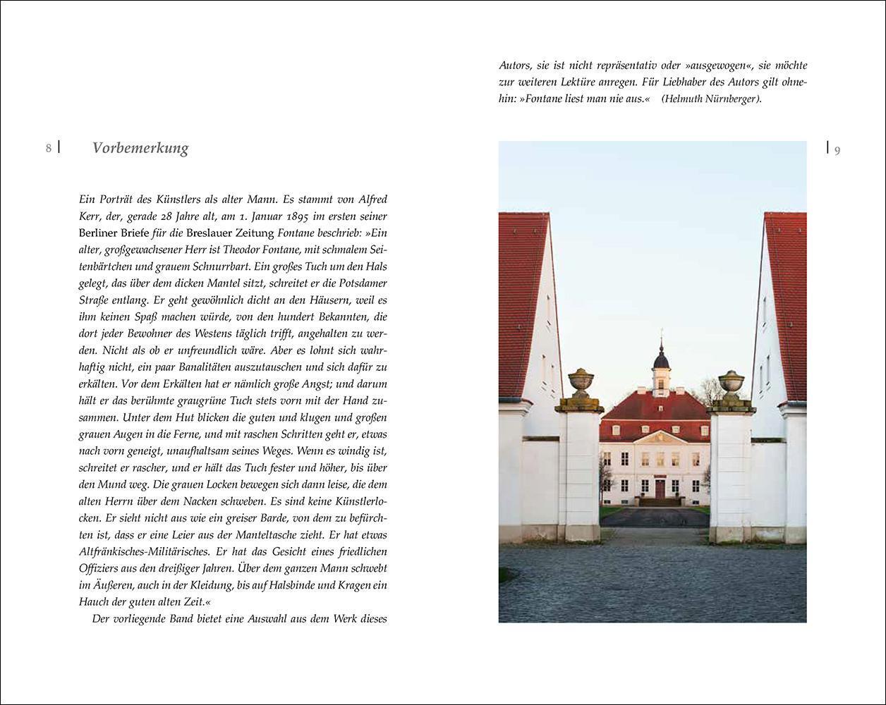 Thumbnail - »der Zauber Steckt Immer Detail« Theodor Fontane Buch Insel-bücherei