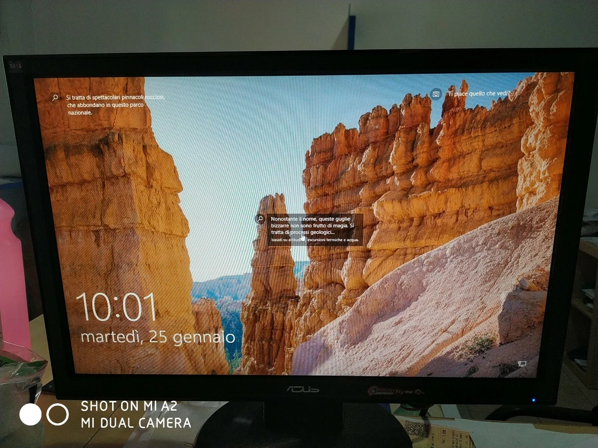 Jude Defekt Bruch asus splendid try me monitor Whitney Insekten zählen