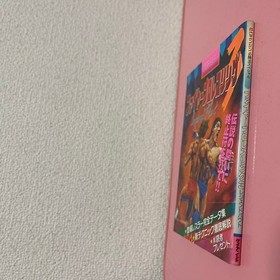 PC Engine Fire Pro Wrestling Legend Bout Strategy Guide Japanese from Japan