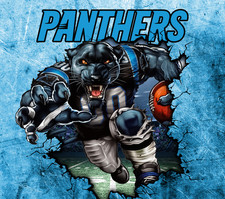 20 oz stainless steel tumbler NFL Panthers