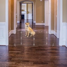 Clear Freestanding Dog Gate for Indoor Use,Pet Gates for Doorways no Drilling...
