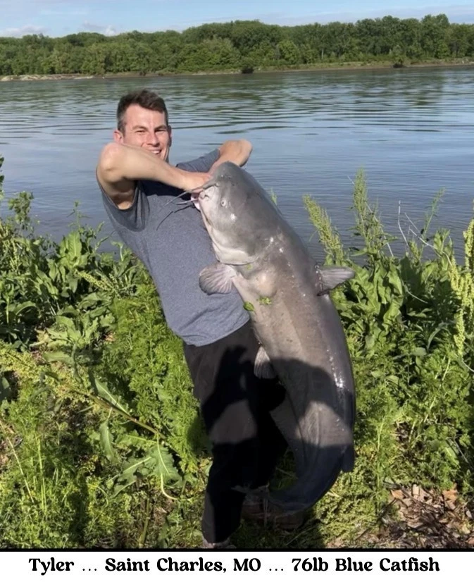 10 Carolina ( Circle ) Surf Fishing Rigs Striped Bass Striper Drum Catfish - Image 3 of 4