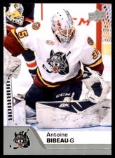 2020-21 Upper Deck AHL #14 Antoine Bibeau
