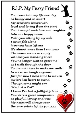 Katzenliebhaber Trauergeschenk - RIP My Furry Friend - Sympathie Katze Verlust Denkmal