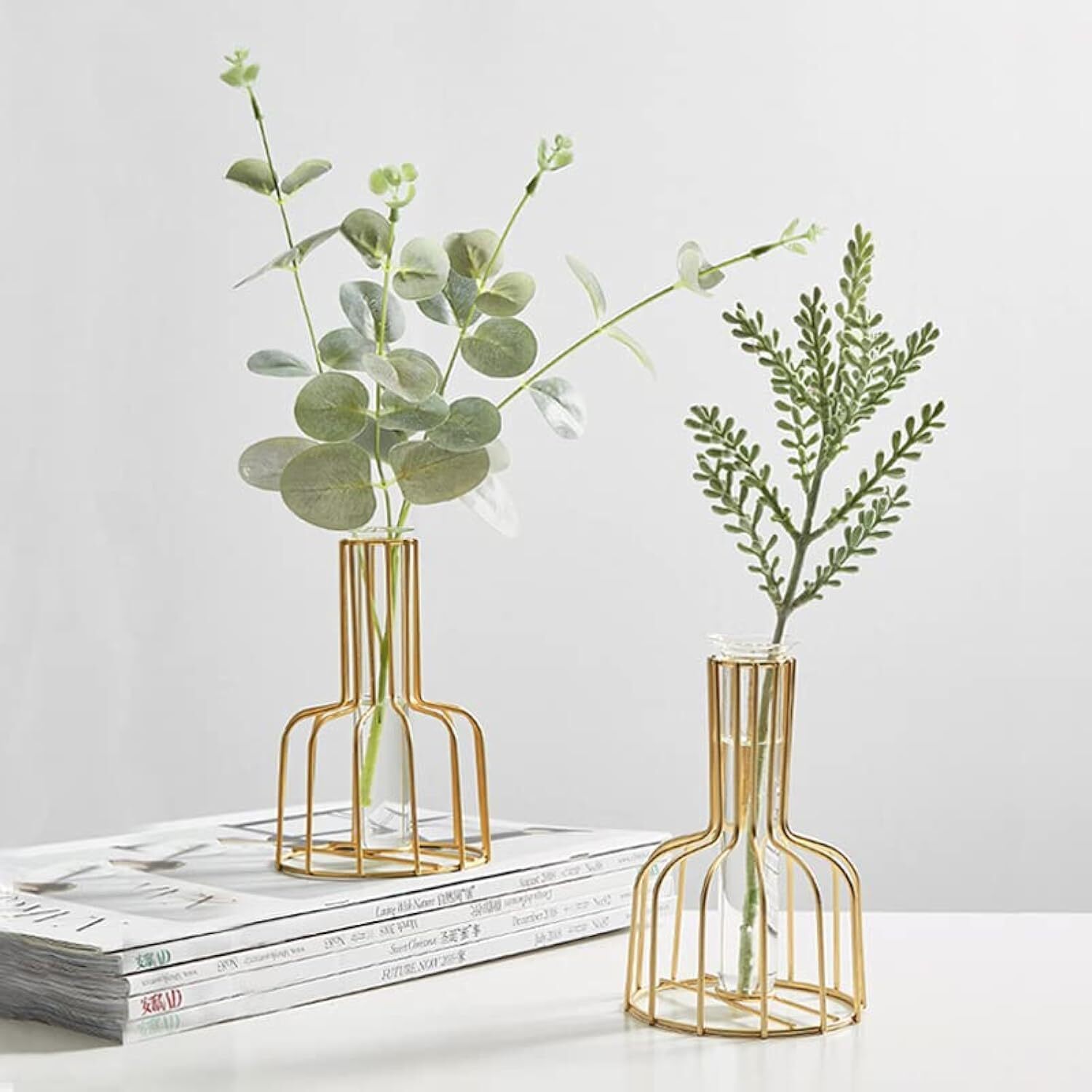 2 Pcs Gold Flower Vase with Metal Frame, Clear Glass Test Tube Vases Decorati...