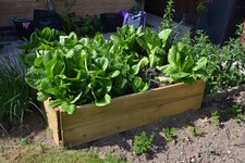 Rectangle Timber Raised Bed - 1 Tier - Ideal for flower bed,herb planter & more