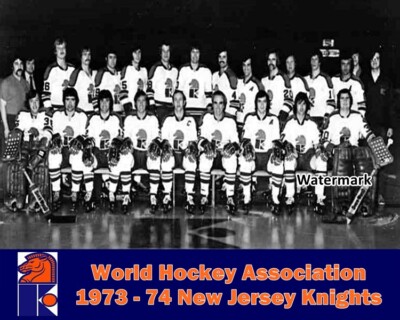 Rare WHA 1973 74 New Jersey Knights Team Picture X 10 Photo