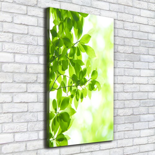 Tableau Sur Toile Tulup 50x100 Cm - Fond De Feuille D'or, Style Moderne, Neuf