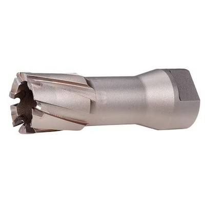 Milwaukee Tool 49-57-1000 1'' Threaded Steel Hawg Cutter