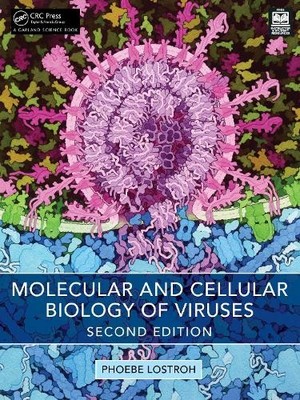 Phoebe Lostroh Molecular and Cellular Biology of Viruses (Paperback) (UK IMPORT)