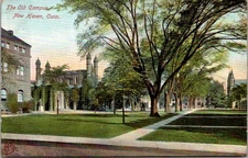 The Old Campus New Haven Connecticut Vintage Postcard B40.