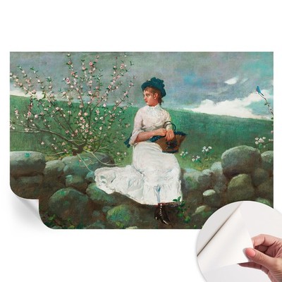 Peel and Stick Wallpaper No Glue Needed Flowers And A Girl On The Wall
