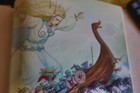 Bild 4 von 4