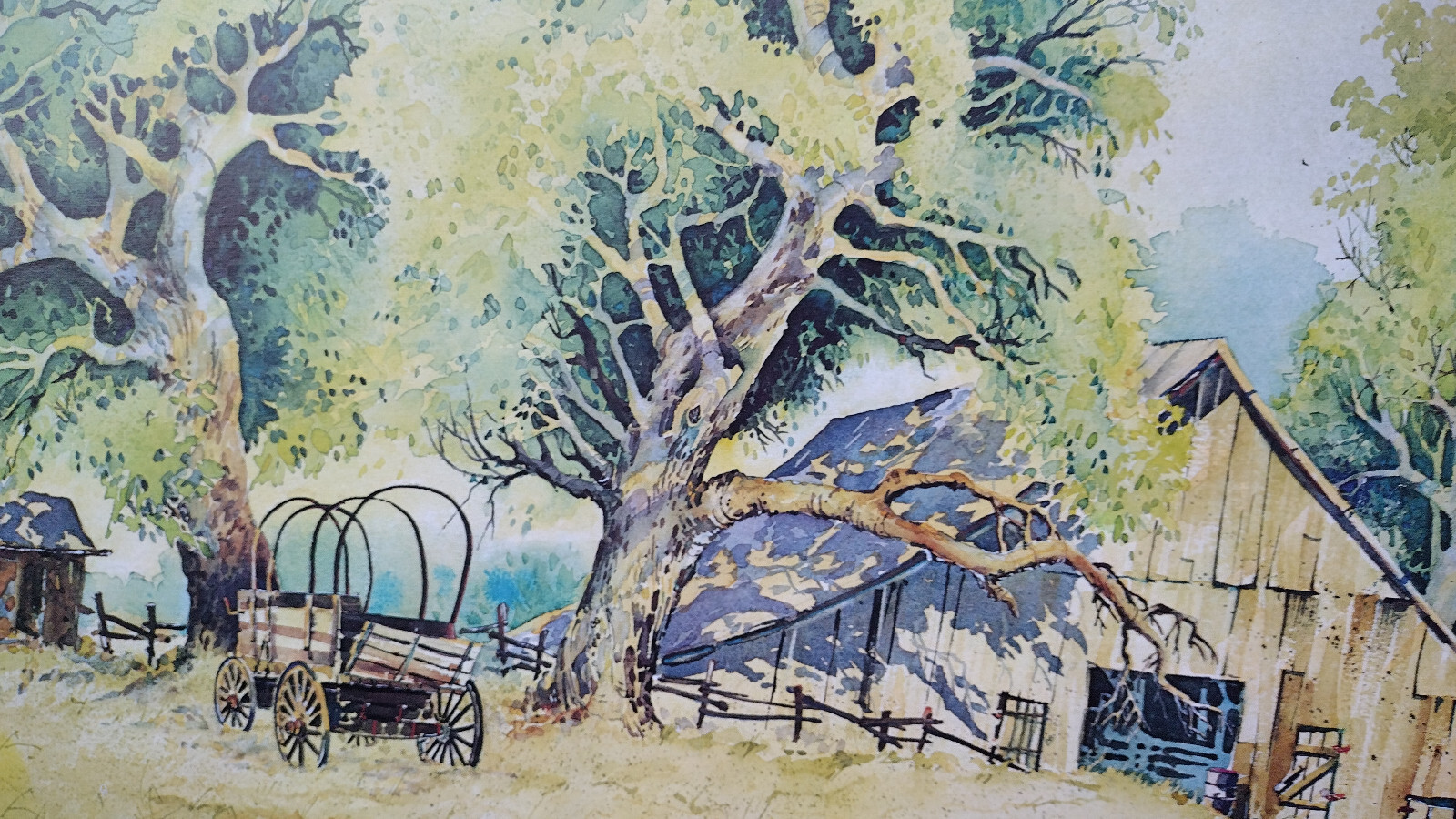 Picture 19 of 22