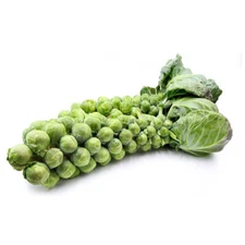 BRUSSELS SPROUTS 'Long Island' 200 seeds vegetable SEEDS garden winter heirloom