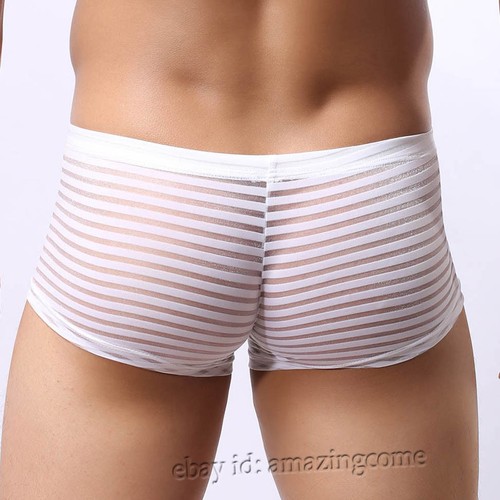Men See-through Striped Mesh Boxers Underwear Guy Beathable Sports Brief Shorts - Picture 6 of 21