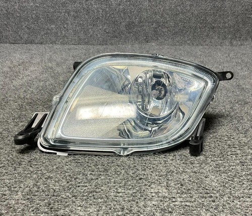Porsche Cayenne Front Right Side Fog Light Headlamp 95563116201 2003-2006