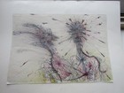 Foto 1 di 5