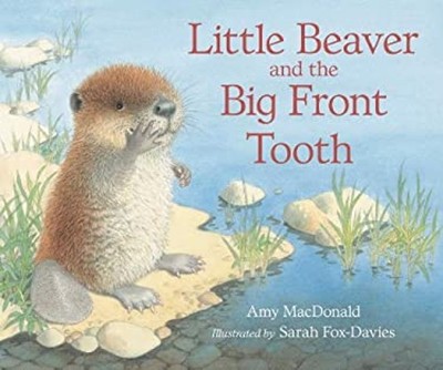 Little Beaver and the Big Front Tooth Hardcover Amy MacDonald