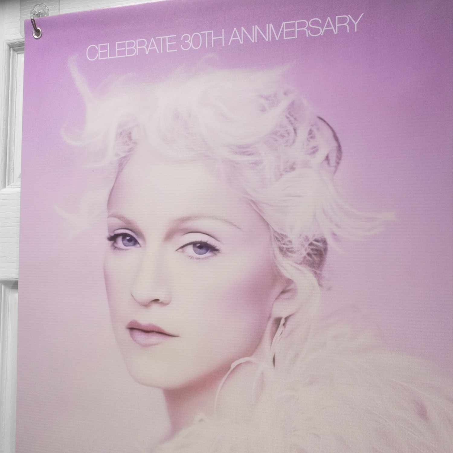 Madonna "Bedtime Stories: The Untold Chapter" Vinyl Banner 2025 Promo Poster
