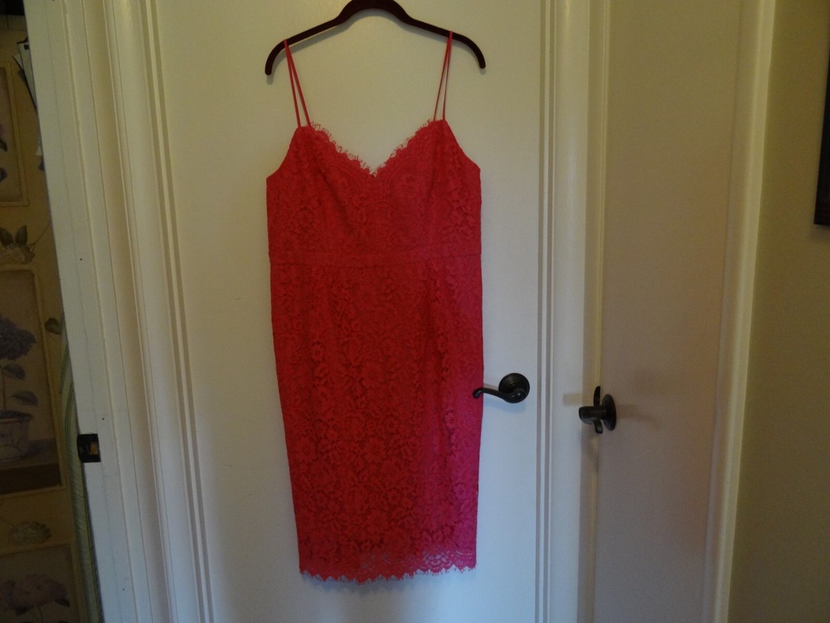 New Dark Hot Pink Lace Spaghetti Strap Sheath Dress Size 16