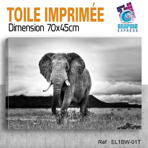 130x100- Kit 3 TOILES IMPRIMEE TABLEAU DECORATION - ELEPHANT- EL01BW-3T130100 - Foto 11 di 14