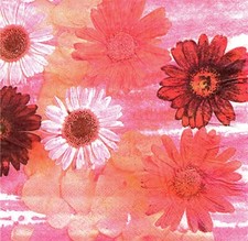 2 Two Paper Lunch Napkins for Decoupage/Mixed Media - Daisies floral flowers
