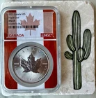 2021 Canadian Silver Maple Leaf 1 oz — photo from another recent sale