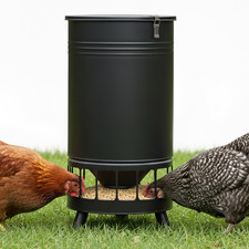 Solution4Patio 65 LB Large Chicken Feeder No-Waste, Portable Gravity Chicken Fee