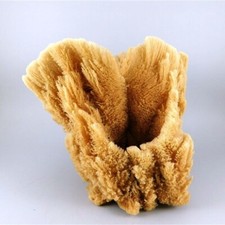 99/685 Large Natural Decorative Ocean Reef Sea Sponge Vase - 7 in x 6 in x 6 in