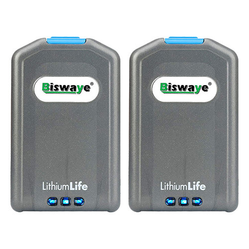 2 Biswaye Replacement Hoover Extended 