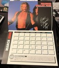 Rare Japan 2000 WCW Calendar Nitro Girls nWo Hollywood Hogan Sting DDP Outsiders — photo 4