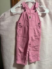 Pink Carhartt Bib Overalls