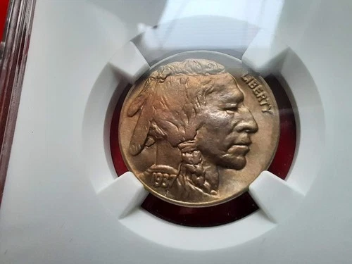 1937-D 5c Buffalo Nickel NGC MS65 BU US Coin Indian Head Denver BEAUTIFUL!