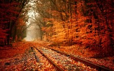 Landscape fall forest nature railway leaves outdoors Custom Gaming Mat Desk