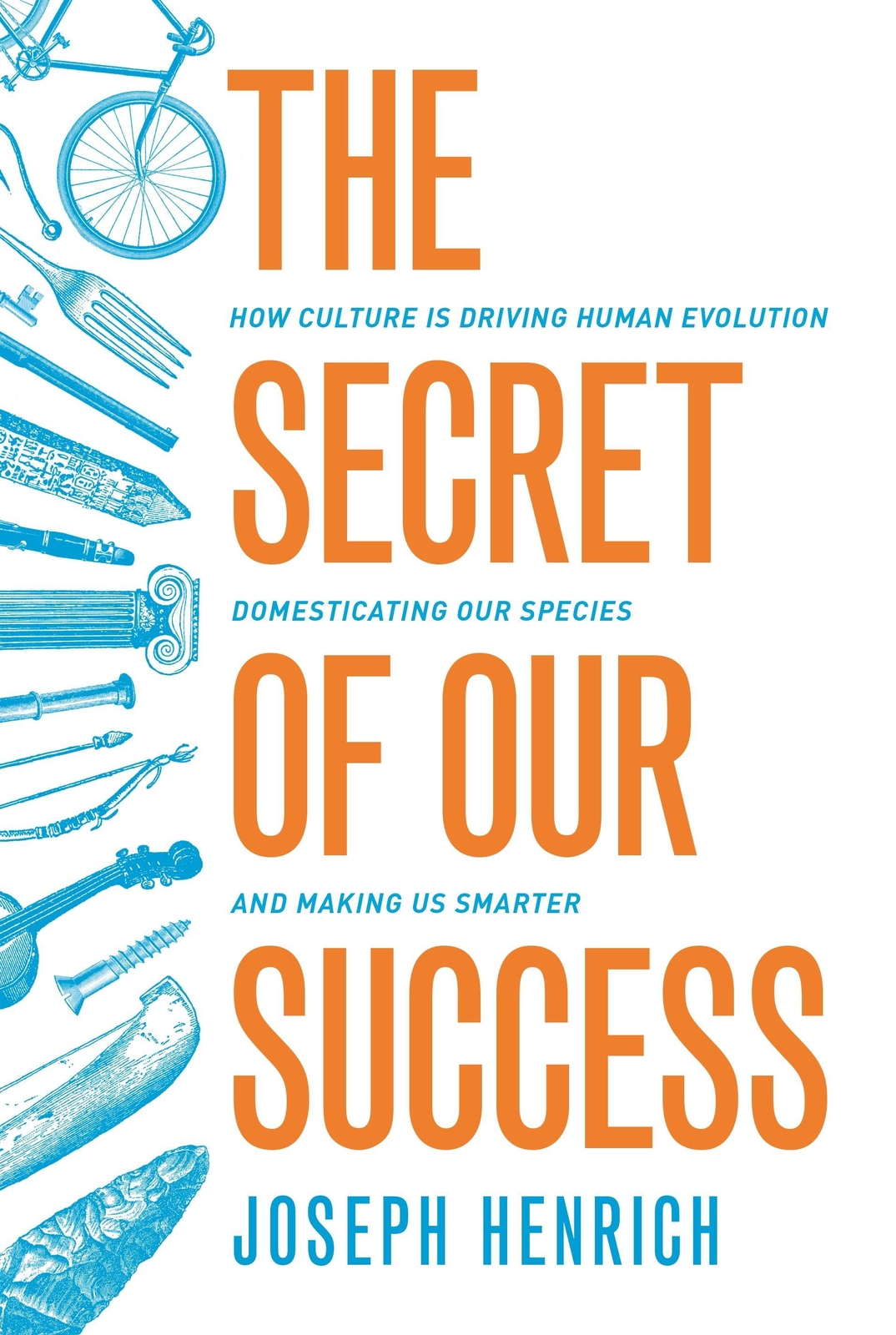Thumbnail - Secret Of Our Success Joseph Henrich 9780691178431