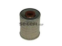 Purflux C494E Kraftstofffilter For Mitsubishi Volvo