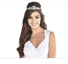 Rose Gold Tiara 4.5  X 1.5  Plastic Accessory