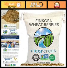 Non-GMO Einkorn Wheat Berries - 4 lb, Glyphosate Residue Free, Healthy Grain