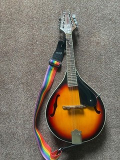 Schöne Boston Mandoline in Top Zustand