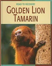 Golden Lion Tamarin Library Binding Barbara A. Somervill