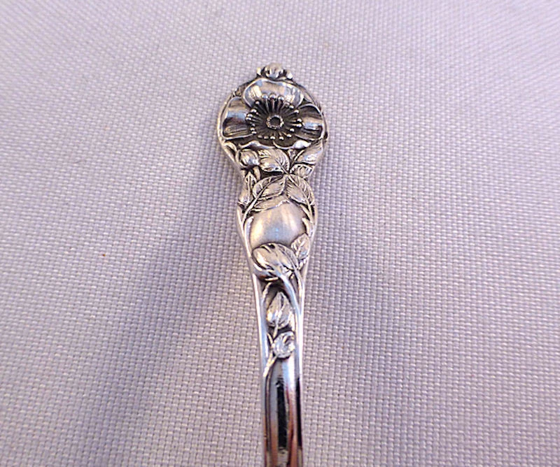 Cucharón de salsa Wild Rose-Watson Sterling Cream-5 1/4" Foto 2 de 3