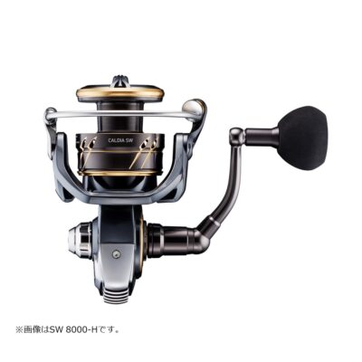 Daiwa 22 CALDIA SW 6000S-H Spinning Reel Exchangable Handle