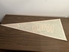 NHL Minnesota Wild Vintage Sports Team Logo Hockey Pennant — photo 4
