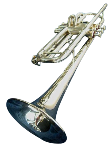 トランペットYAMAHA YTR-800GS YAMAHA YTR-800GS Trumpet Good GP | eBay