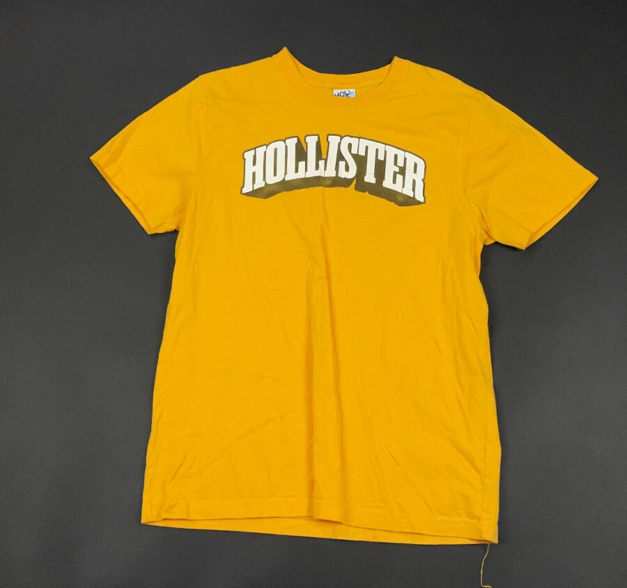 Hollister co hotsell t shirt