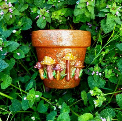 Small Terracotta Plant Flower Pot Indoor Handmade 3D Mushroom Glitter Finish 