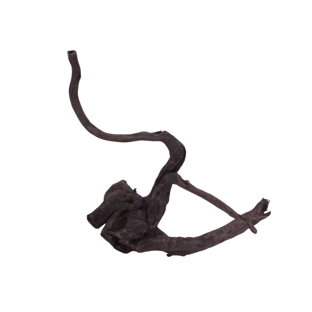 Radice Acquario Decorazione Black Spider Redwood Moorwood Aquascaping L Nr.2622 foto 4